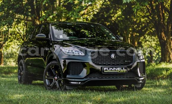 Acheter Occasion Voiture Jaguar E-Pace Noir à Windhoek, Namibie Acheter Occasion Voiture Jaguar E-Pace Noir à Windhoek, Namibie