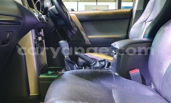 Acheter Occasion Voiture Toyota Land Cruiser Prado Bleu à Windhoek, Namibie Acheter Occasion Voiture Toyota Land Cruiser Prado Bleu à Windhoek, Namibie