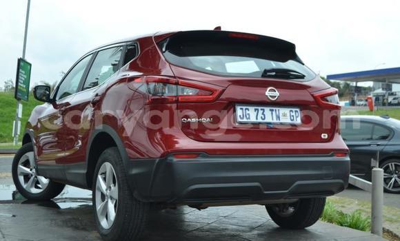 Buy Used Nissan Qashqai Black Car in Windhoek in Namibia Buy Used Nissan Qashqai Black Car in Windhoek in Namibia