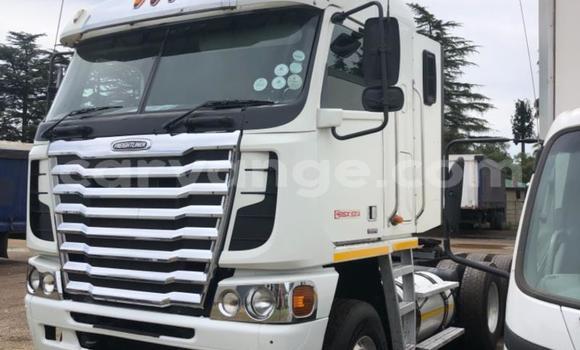 Buy Used Freightliner 90 Cum 500 White Truck in Windhoek in Namibia