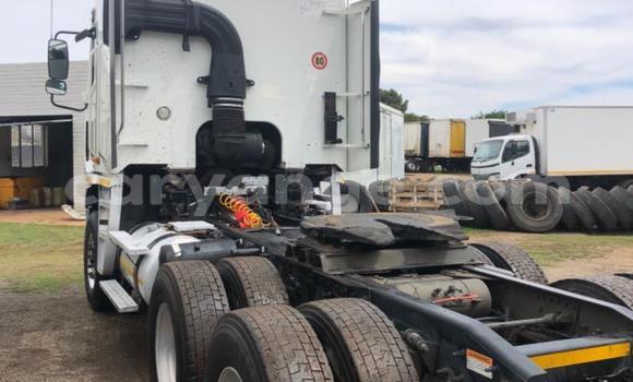 Acheter Occasion Utilitaire Freightliner 90 Cum 500 Blanc à Windhoek, Namibie Acheter Occasion Utilitaire Freightliner 90 Cum 500 Blanc à Windhoek, Namibie