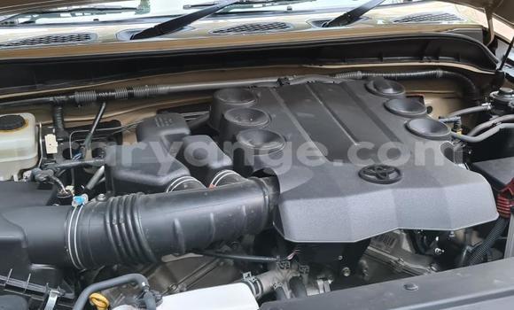 Buy Used Toyota FJ Cruiser Beige Car in Windhoek in Namibia Buy Used Toyota FJ Cruiser Beige Car in Windhoek in Namibia