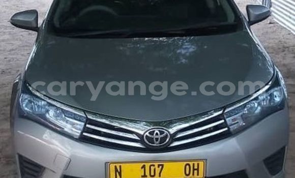 Buy Used Toyota Corolla Other Car in Windhoek in Namibia