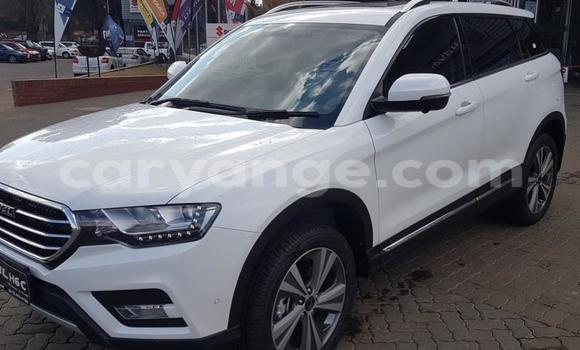 Buy Used Haval H6 Coupe White Car in Grootfontein in Namibia