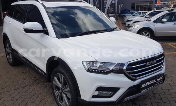 Buy Used Haval H6 Coupe White Car in Grootfontein in Namibia Buy Used Haval H6 Coupe White Car in Grootfontein in Namibia