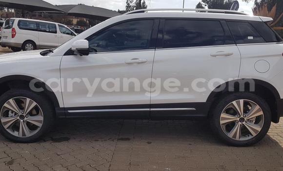 Buy Used Haval H6 Coupe White Car in Grootfontein in Namibia Buy Used Haval H6 Coupe White Car in Grootfontein in Namibia