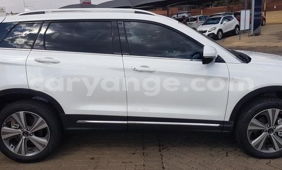 Buy Used Haval H6 Coupe White Car in Grootfontein in Namibia Buy Used Haval H6 Coupe White Car in Grootfontein in Namibia