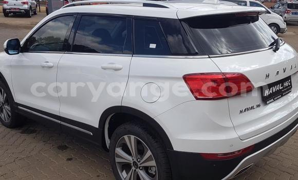 Buy Used Haval H6 Coupe White Car in Grootfontein in Namibia Buy Used Haval H6 Coupe White Car in Grootfontein in Namibia