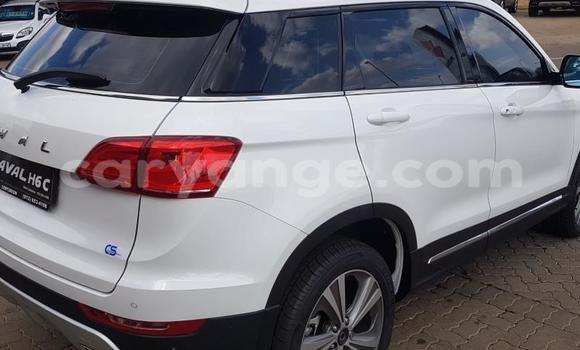 Buy Used Haval H6 Coupe White Car in Grootfontein in Namibia Buy Used Haval H6 Coupe White Car in Grootfontein in Namibia