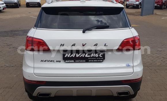 Buy Used Haval H6 Coupe White Car in Grootfontein in Namibia Buy Used Haval H6 Coupe White Car in Grootfontein in Namibia
