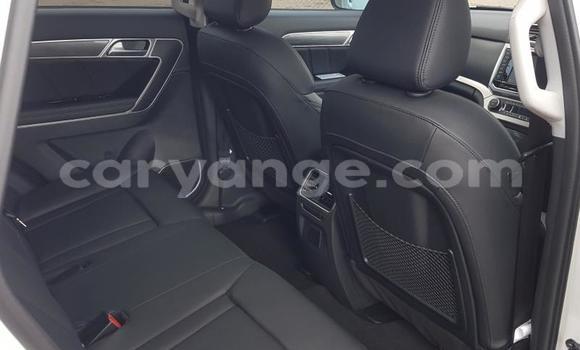 Buy Used Haval H6 Coupe White Car in Grootfontein in Namibia Buy Used Haval H6 Coupe White Car in Grootfontein in Namibia