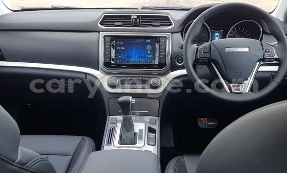 Buy Used Haval H6 Coupe White Car in Grootfontein in Namibia Buy Used Haval H6 Coupe White Car in Grootfontein in Namibia