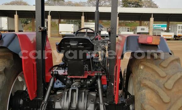 Acheter Occasion Utilitaire Caterpillar 120 Rouge à Walvis Bay, Namibie Acheter Occasion Utilitaire Caterpillar 120 Rouge à Walvis Bay, Namibie