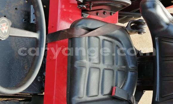 Acheter Occasion Utilitaire Caterpillar 120 Rouge à Walvis Bay, Namibie Acheter Occasion Utilitaire Caterpillar 120 Rouge à Walvis Bay, Namibie