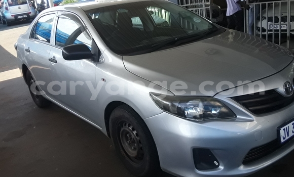 Acheter Occasion Voiture Toyota Corolla Bleu à Windhoek, Namibie Acheter Occasion Voiture Toyota Corolla Bleu à Windhoek, Namibie