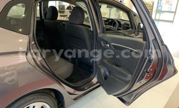 Acheter Occasion Voiture Honda Jazz Autre à Windhoek, Namibie Acheter Occasion Voiture Honda Jazz Autre à Windhoek, Namibie
