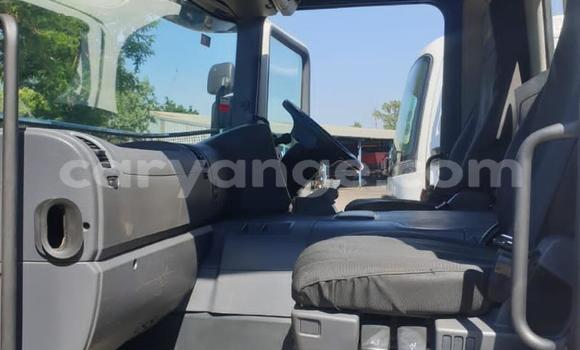 Acheter Occasion Utilitaire Isuzu FTR 850 Blanc à Windhoek, Namibie Acheter Occasion Utilitaire Isuzu FTR 850 Blanc à Windhoek, Namibie