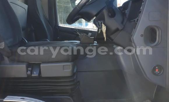 Acheter Occasion Utilitaire Isuzu FTR 850 Blanc à Windhoek, Namibie Acheter Occasion Utilitaire Isuzu FTR 850 Blanc à Windhoek, Namibie