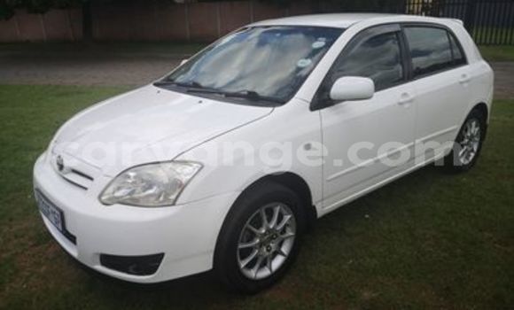 Buy Used Toyota Runx White Car in Otavi in Oshikoto