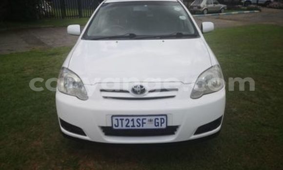 Acheter Occasion Voiture Toyota Runx Blanc à Otavi, Oshikoto Acheter Occasion Voiture Toyota Runx Blanc à Otavi, Oshikoto