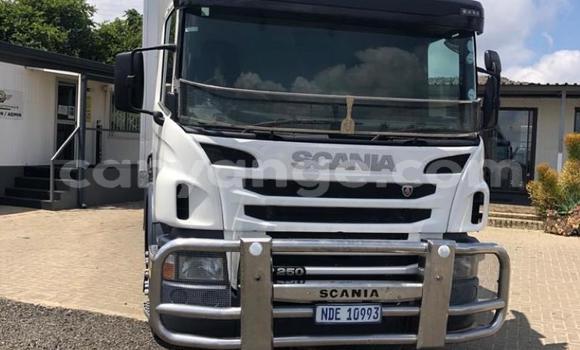 Buy Used Scania Irizar White Truck in Windhoek in Namibia