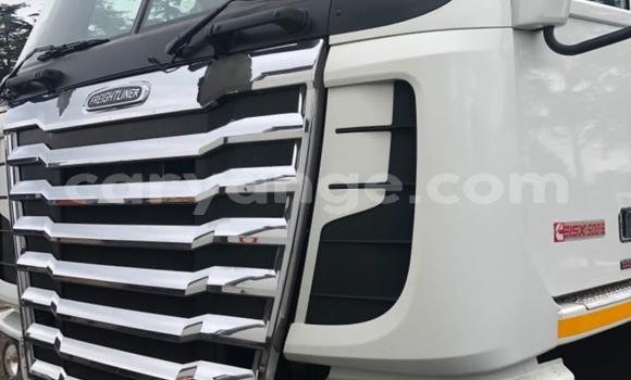 Acheter Occasion Utilitaire Freightliner 90 Cum 500 Blanc à Henties Bay, Erongo Acheter Occasion Utilitaire Freightliner 90 Cum 500 Blanc à Henties Bay, Erongo