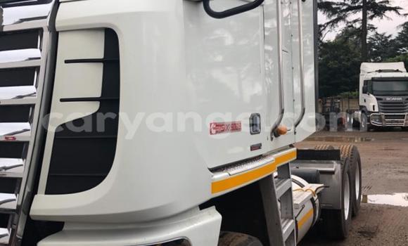 Acheter Occasion Utilitaire Freightliner 90 Cum 500 Blanc à Henties Bay, Erongo Acheter Occasion Utilitaire Freightliner 90 Cum 500 Blanc à Henties Bay, Erongo