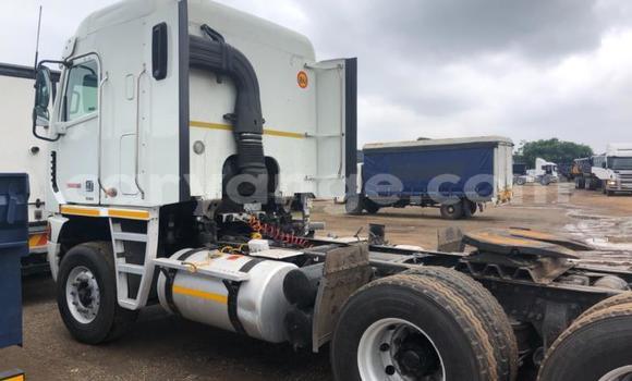 Acheter Occasion Utilitaire Freightliner 90 Cum 500 Blanc à Henties Bay, Erongo Acheter Occasion Utilitaire Freightliner 90 Cum 500 Blanc à Henties Bay, Erongo