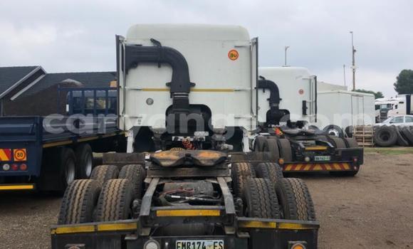 Acheter Occasion Utilitaire Freightliner 90 Cum 500 Blanc à Henties Bay, Erongo Acheter Occasion Utilitaire Freightliner 90 Cum 500 Blanc à Henties Bay, Erongo