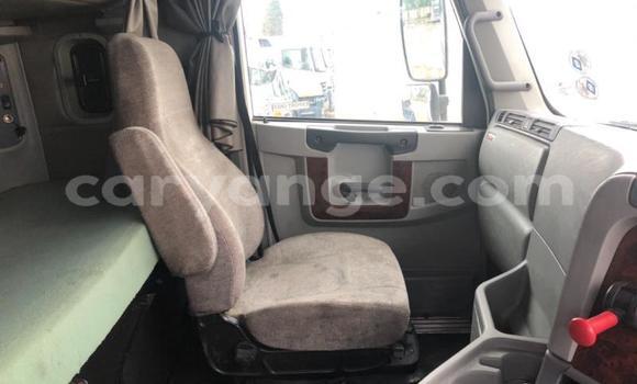 Acheter Occasion Utilitaire Freightliner 90 Cum 500 Blanc à Henties Bay, Erongo Acheter Occasion Utilitaire Freightliner 90 Cum 500 Blanc à Henties Bay, Erongo