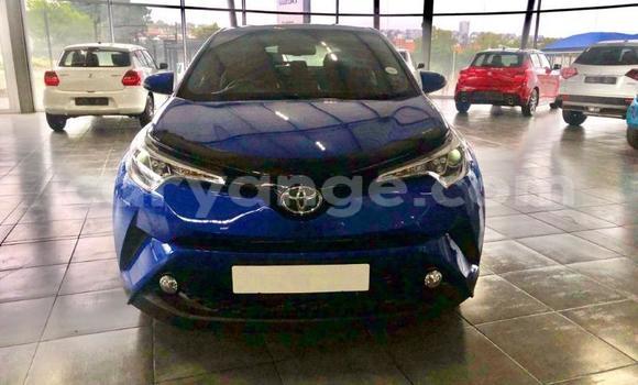 Buy Used Toyota C-HR Blue Car in Swakopmund in Namibia