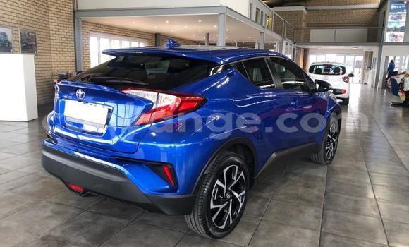 Buy Used Toyota C-HR Blue Car in Swakopmund in Namibia Buy Used Toyota C-HR Blue Car in Swakopmund in Namibia