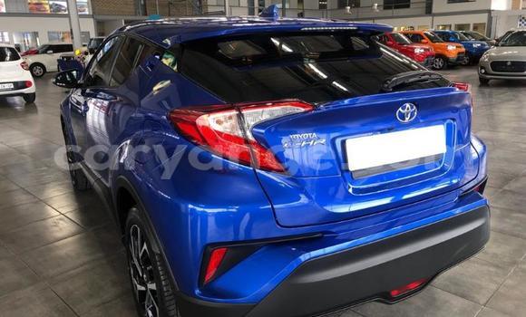 Buy Used Toyota C-HR Blue Car in Swakopmund in Namibia Buy Used Toyota C-HR Blue Car in Swakopmund in Namibia