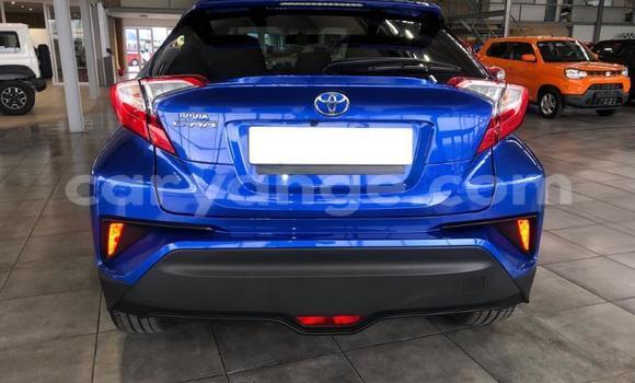 Buy Used Toyota C-HR Blue Car in Swakopmund in Namibia Buy Used Toyota C-HR Blue Car in Swakopmund in Namibia