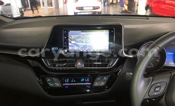 Buy Used Toyota C-HR Blue Car in Swakopmund in Namibia Buy Used Toyota C-HR Blue Car in Swakopmund in Namibia