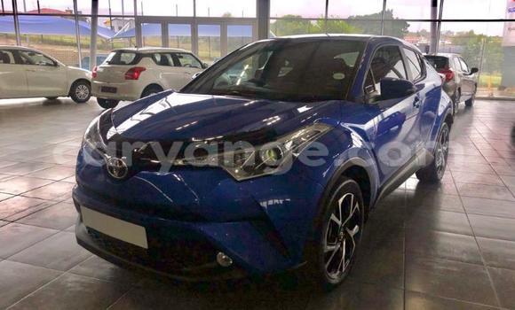 Buy Used Toyota C-HR Blue Car in Swakopmund in Namibia Buy Used Toyota C-HR Blue Car in Swakopmund in Namibia
