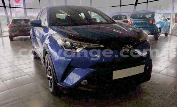 Buy Used Toyota C-HR Blue Car in Swakopmund in Namibia Buy Used Toyota C-HR Blue Car in Swakopmund in Namibia
