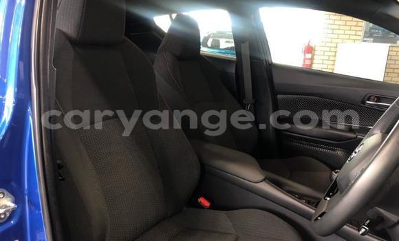 Buy Used Toyota C-HR Blue Car in Swakopmund in Namibia Buy Used Toyota C-HR Blue Car in Swakopmund in Namibia