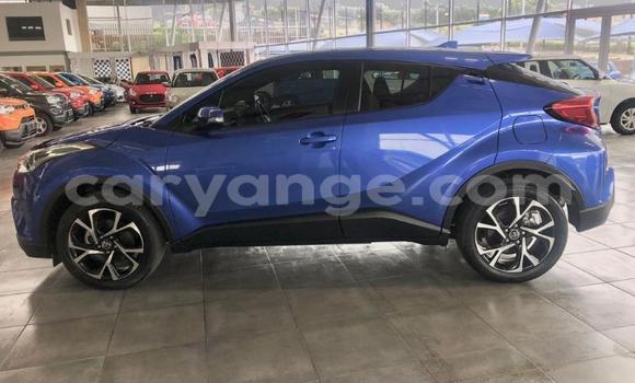 Buy Used Toyota C-HR Blue Car in Swakopmund in Namibia Buy Used Toyota C-HR Blue Car in Swakopmund in Namibia