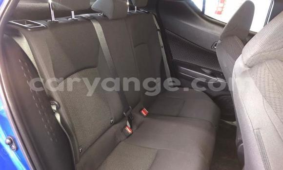 Buy Used Toyota C-HR Blue Car in Swakopmund in Namibia Buy Used Toyota C-HR Blue Car in Swakopmund in Namibia