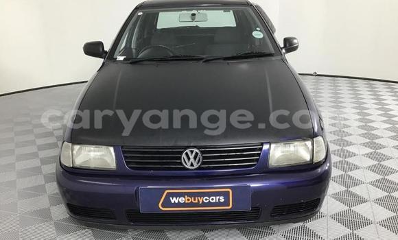Buy Used Volkswagen Polo Blue Car in Windhoek in Namibia Buy Used Volkswagen Polo Blue Car in Windhoek in Namibia