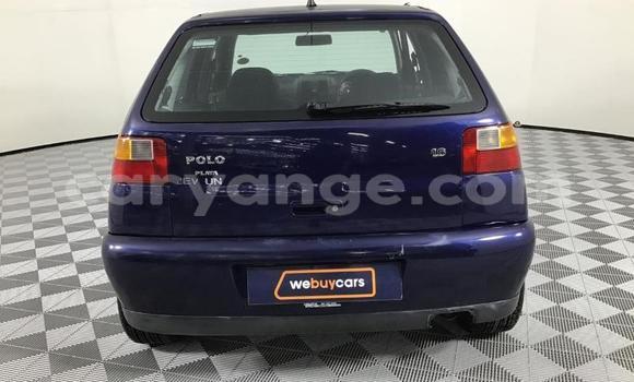 Buy Used Volkswagen Polo Blue Car in Windhoek in Namibia Buy Used Volkswagen Polo Blue Car in Windhoek in Namibia