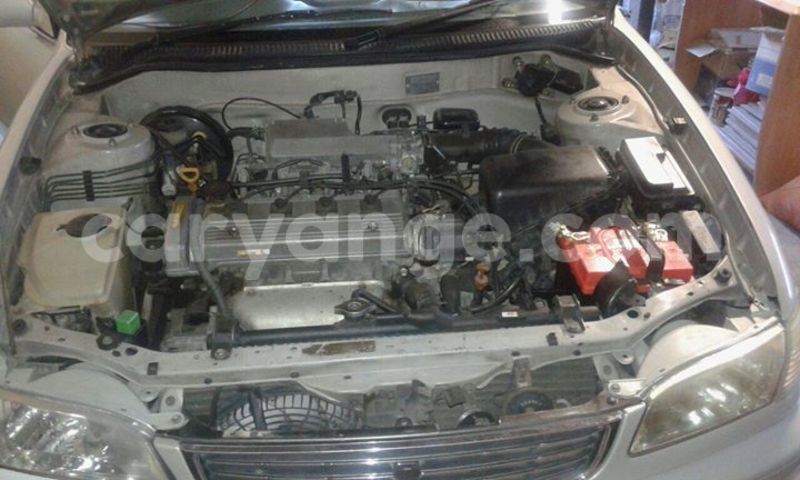 Big with watermark 13119780 554839898028892 7659533784903396108 o