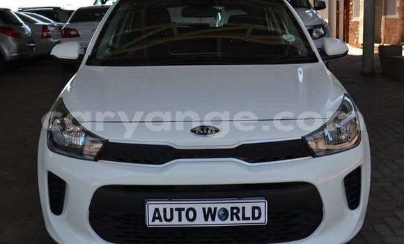 Buy Used Kia Rio White Car in Windhoek in Namibia Buy Used Kia Rio White Car in Windhoek in Namibia