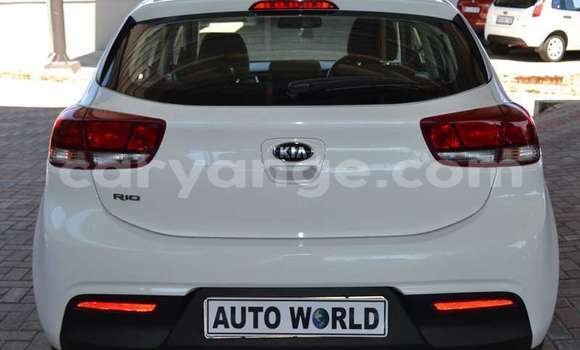Buy Used Kia Rio White Car in Windhoek in Namibia Buy Used Kia Rio White Car in Windhoek in Namibia