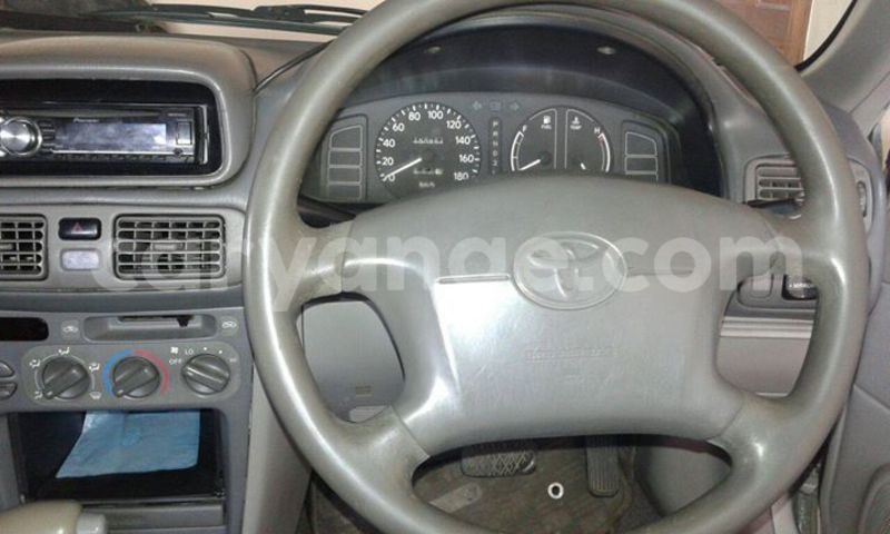 Big with watermark 13217260 554839928028889 8880312621484641101 o