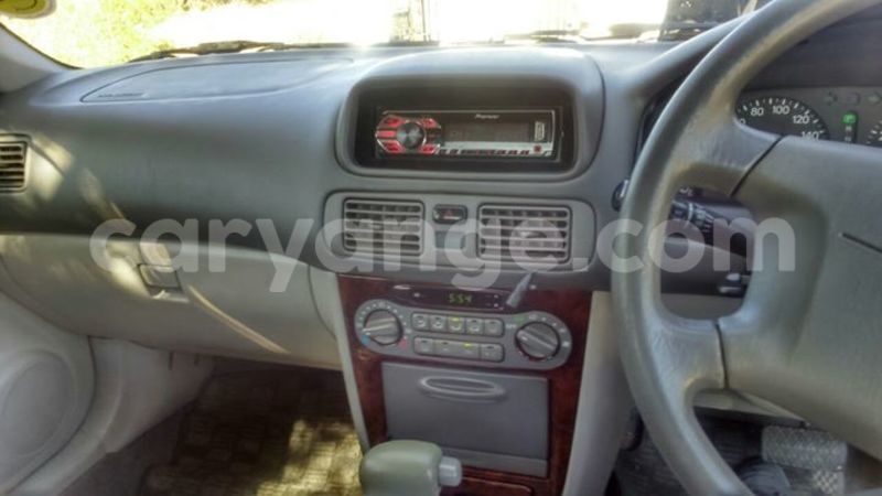 Big with watermark 13301287 1164500020247780 6258182690909476694 o