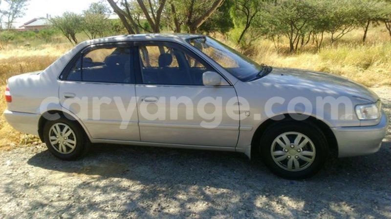 Big with watermark 13308686 1164500243581091 4899868752393841731 o