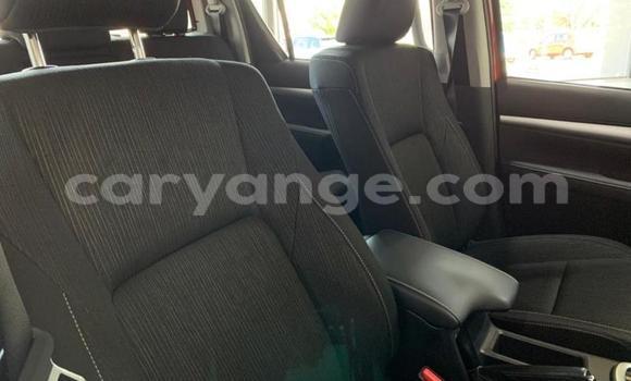 Buy Used Toyota Hilux Red Car in Grootfontein in Namibia Buy Used Toyota Hilux Red Car in Grootfontein in Namibia