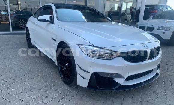 Buy Used BMW M4 White Car in Karasburg in Karas